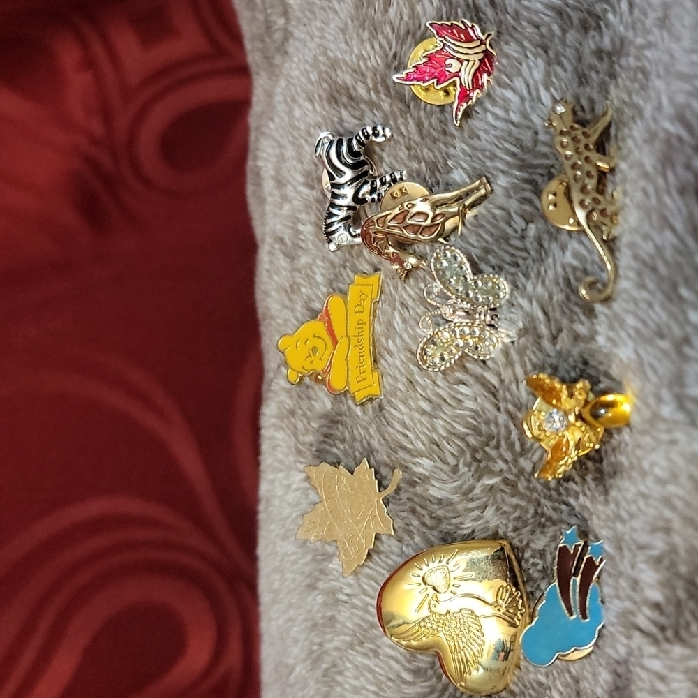 10 Pieces Assorted Pins